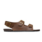 #colour_brown