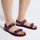 #color_purple